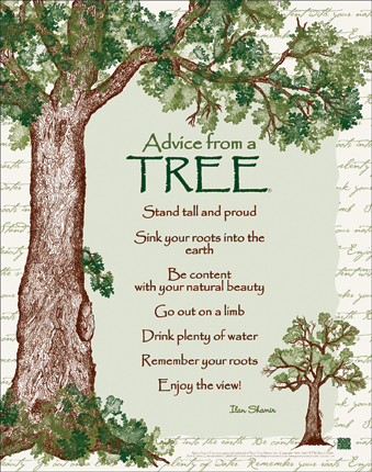 Image: Advice from a Tree book cover