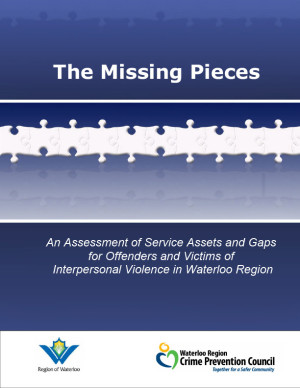Image: The Missing Pieces Report