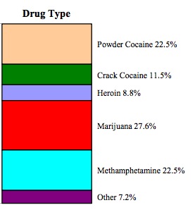 US prison drug type graph