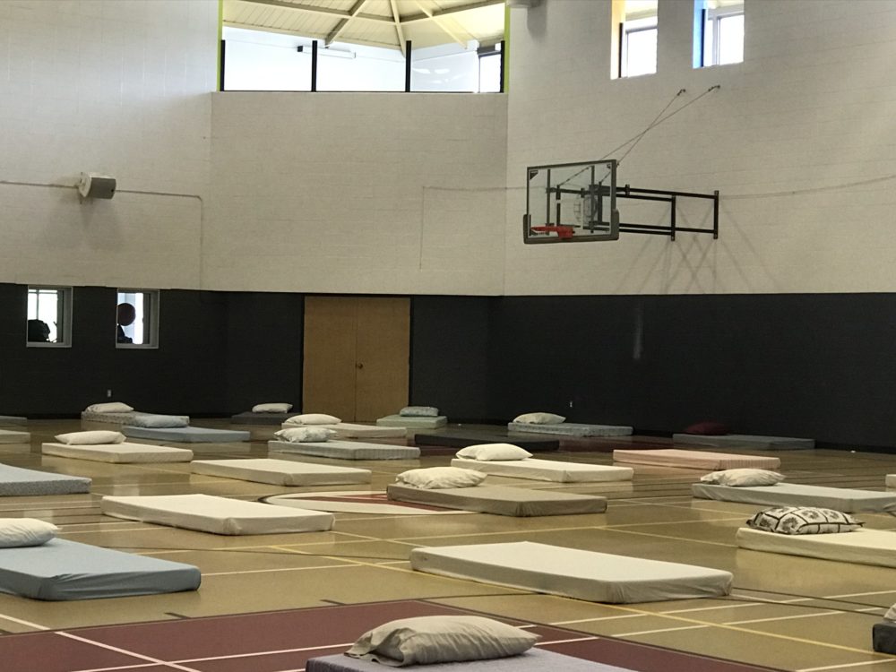 Image: beds across gym floor as an emergency shelter
